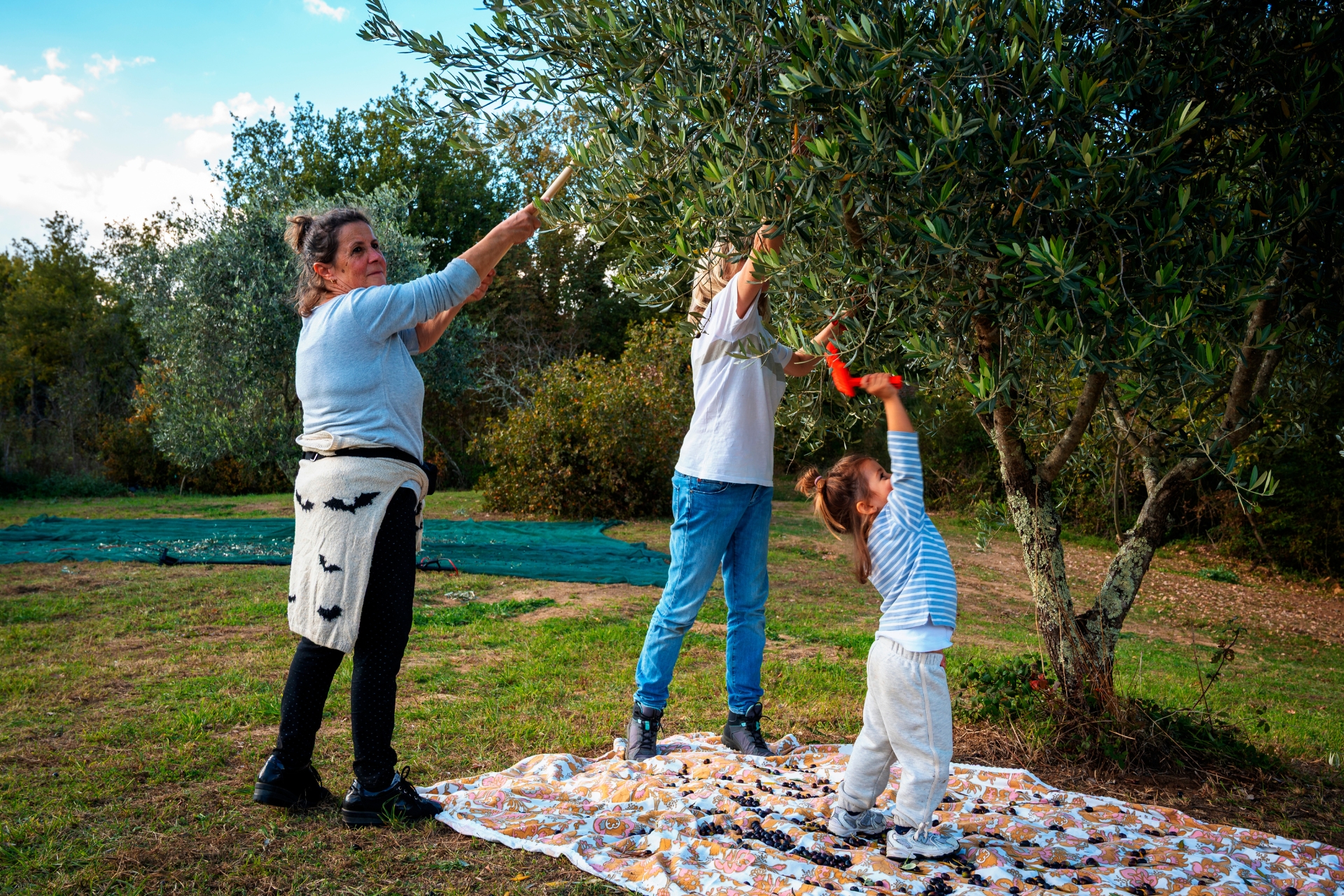 olio extravergine di oliva toscano pitigliano