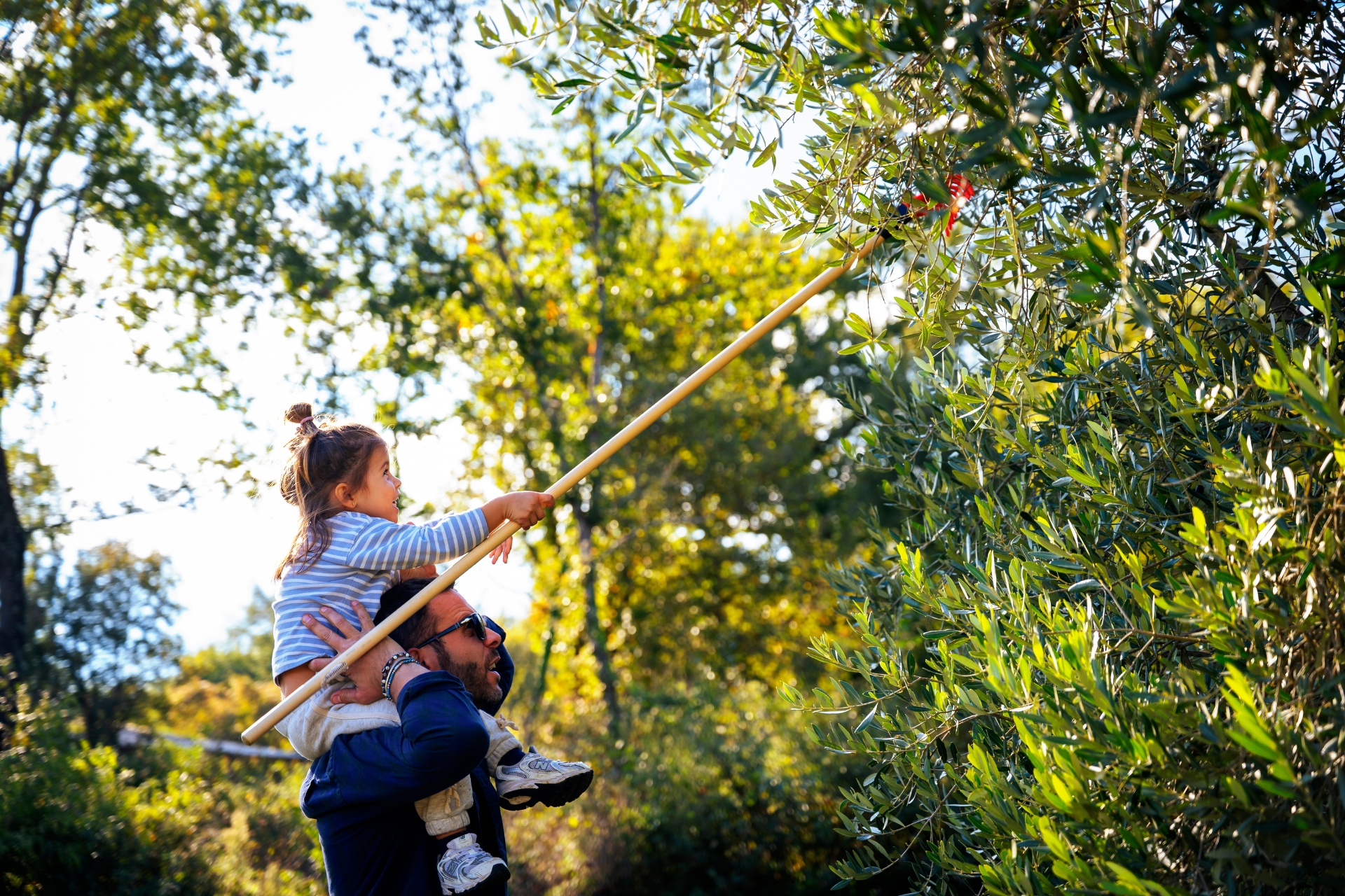 olio extravergine di oliva toscano famiglia